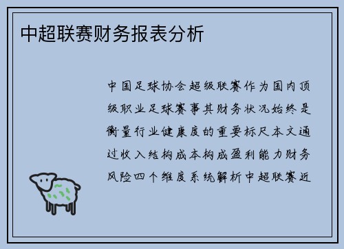 中超联赛财务报表分析