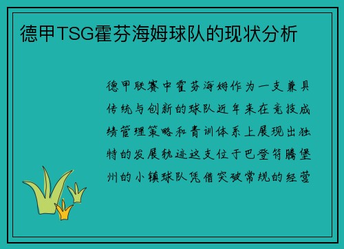 德甲TSG霍芬海姆球队的现状分析